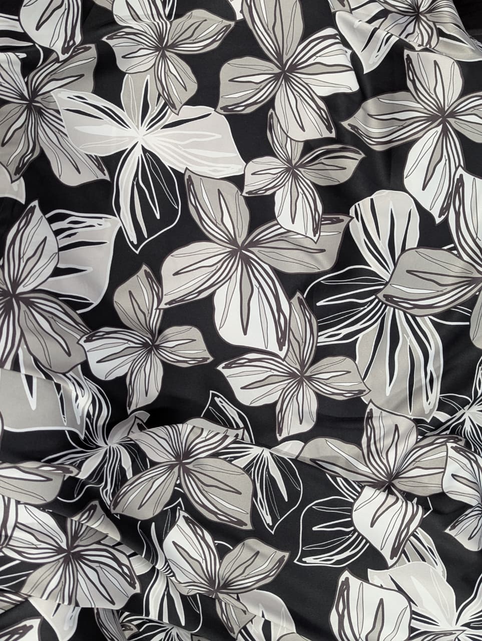 monterrey d4 monterrey d4